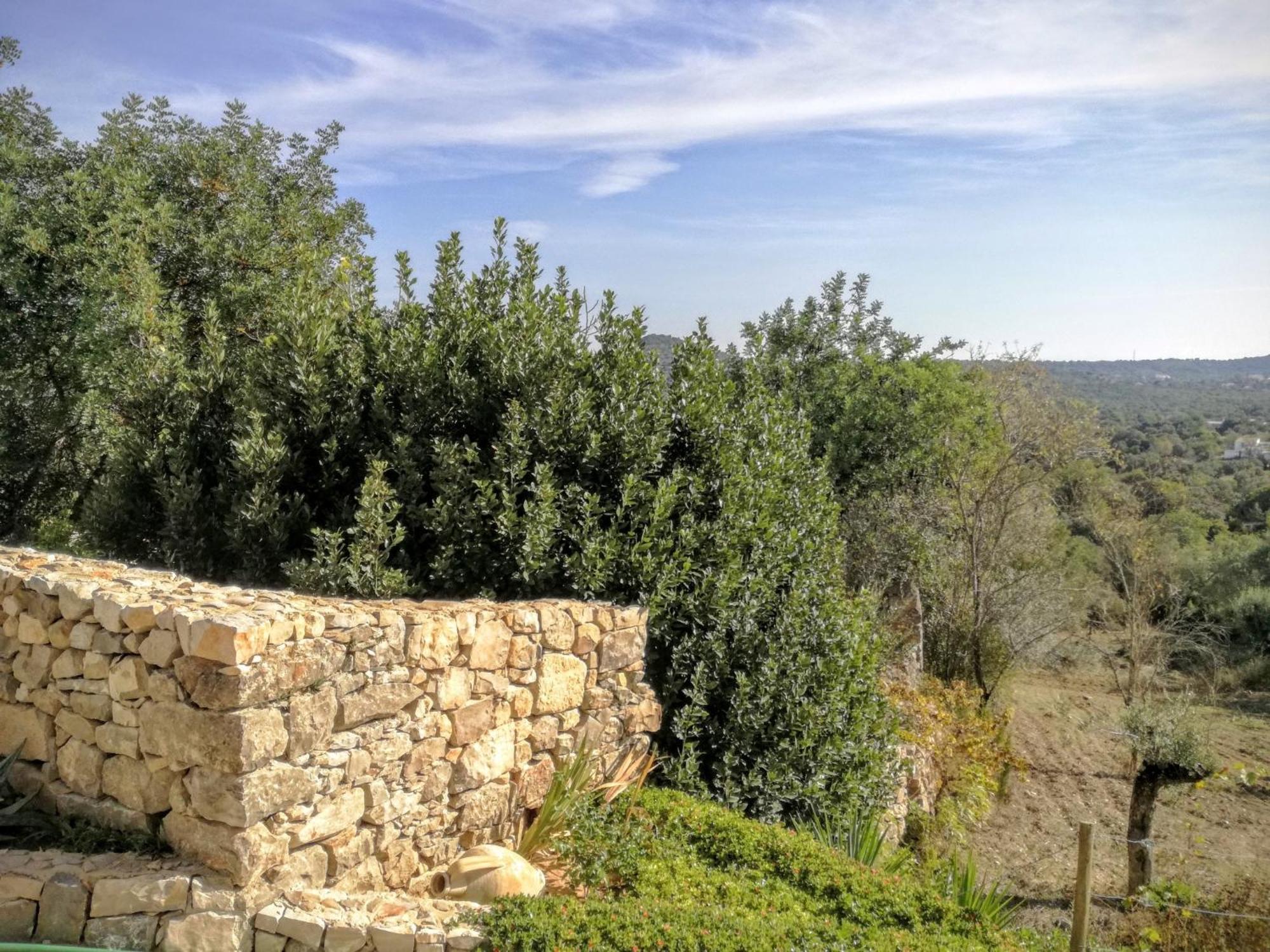 Monte Da Ribeira Villa Estoi Værelse billede